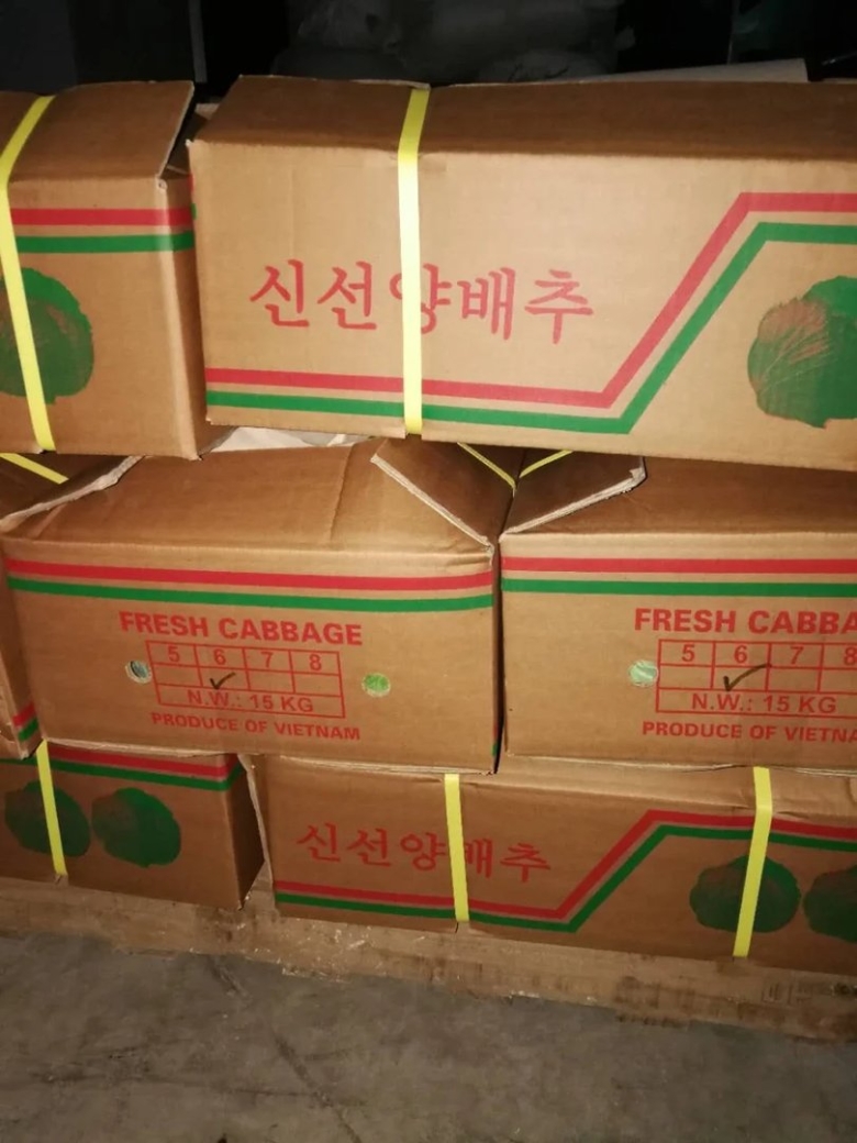 Картонная упаковка