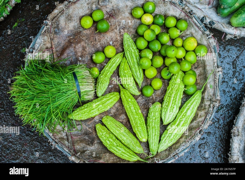 Bitter gourd