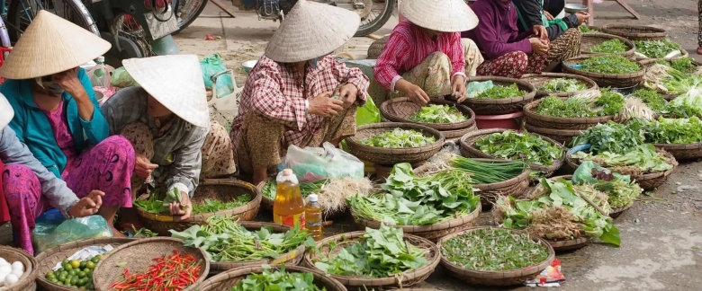 Традиционное занятие вьетнамцев