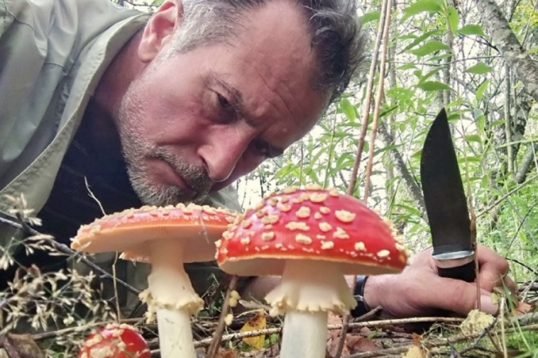 Краснокнижные грибы России