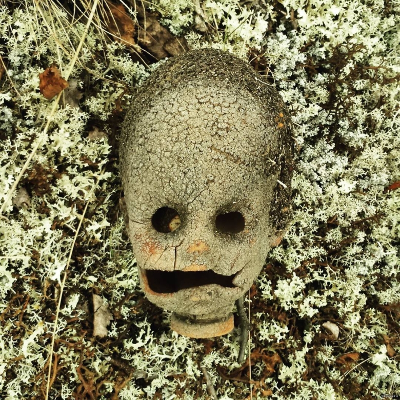 Самые страшные грибы в мире