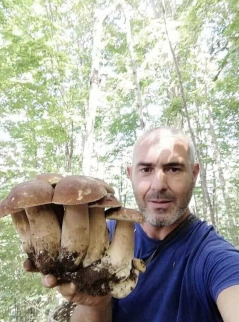 Самый большой гриб