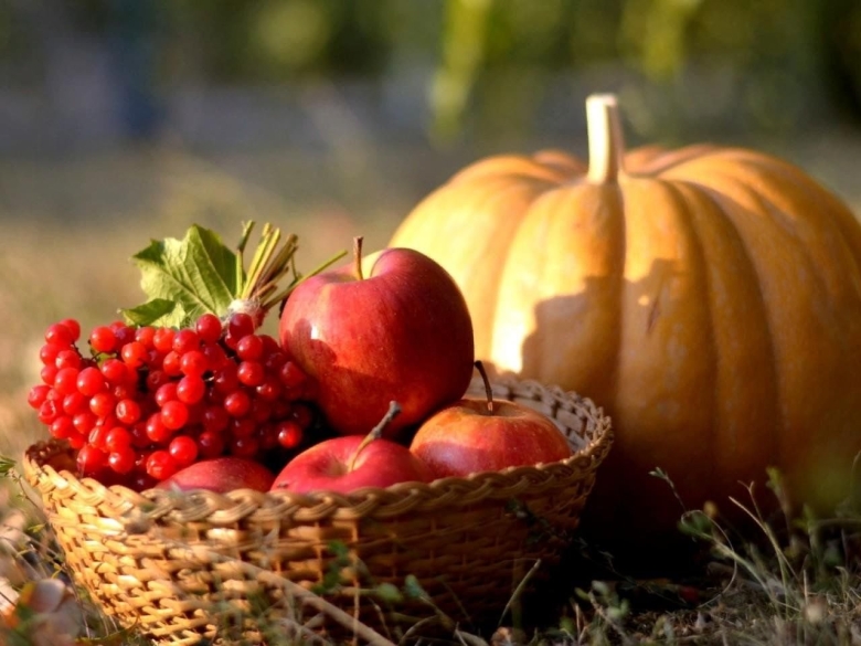 Осенние овощи и фрукты