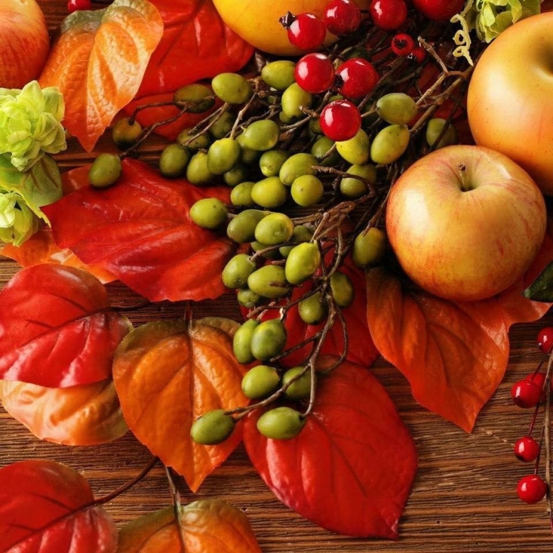 Осень фрукты