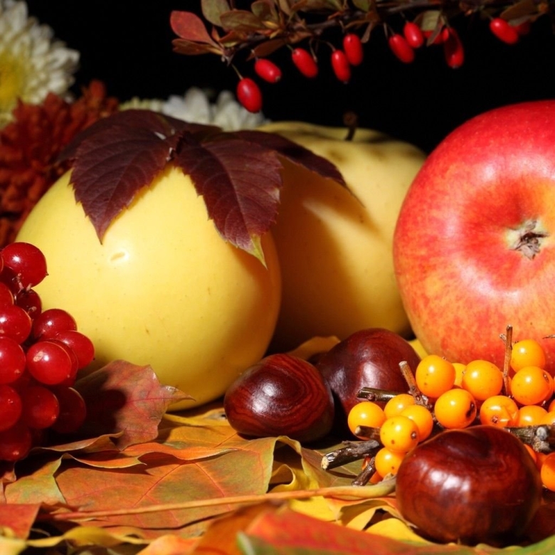 Осенние фрукты и ягоды
