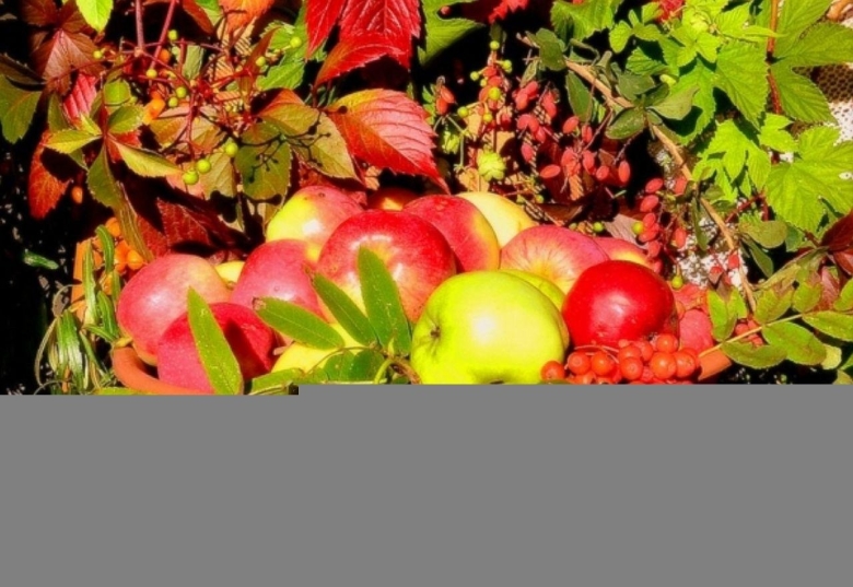 Красивый сад осенью