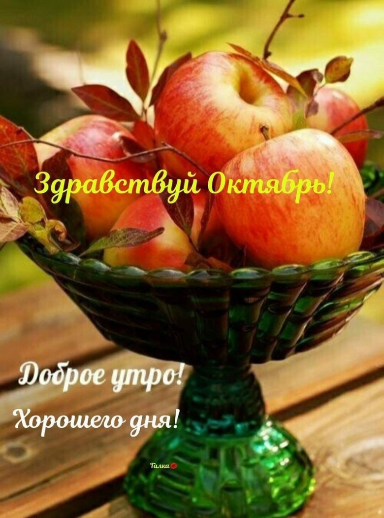 Фрукты осень яблоки