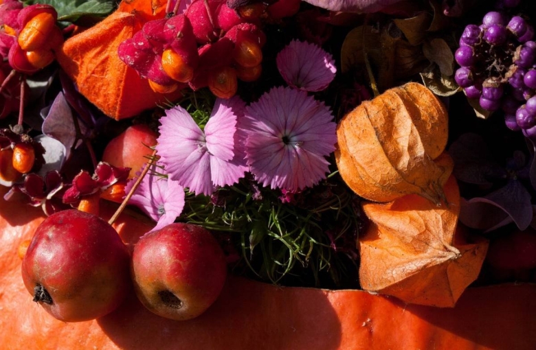 Осенние цветы и ягоды