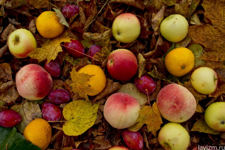 Яблоко персик