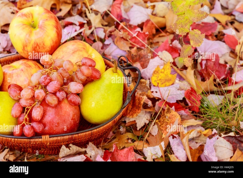 Осенние груши в корзине