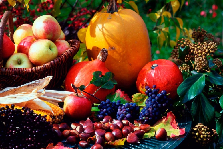 Осенний урожай