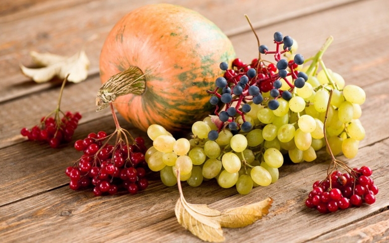 Осень ягоды фрукты