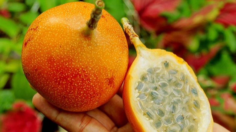 Гранадилла фрукт гранадилла