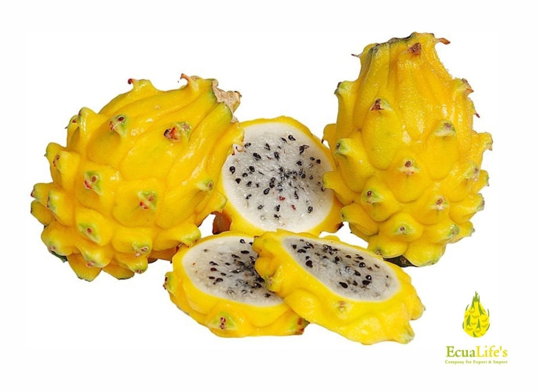 Питайя экзотические фрукты