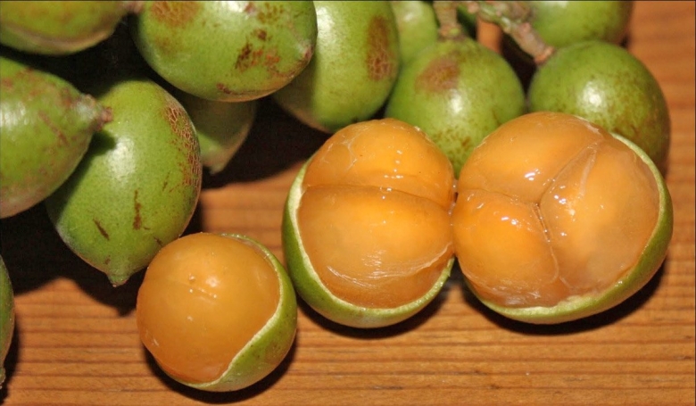 Мамончилло фрукт