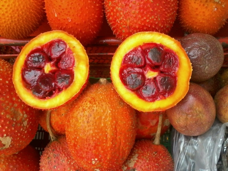 Момордика кохинхинская