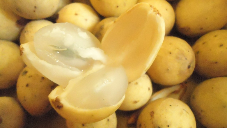 Сферические фрукты