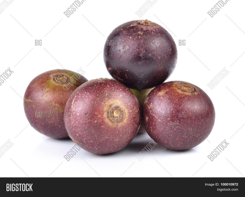 Флакуртия индийская