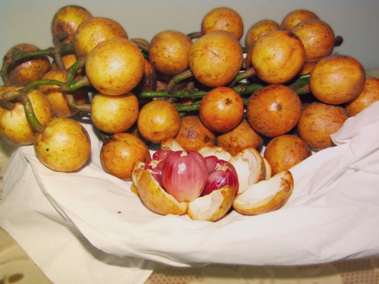 Абрикотины