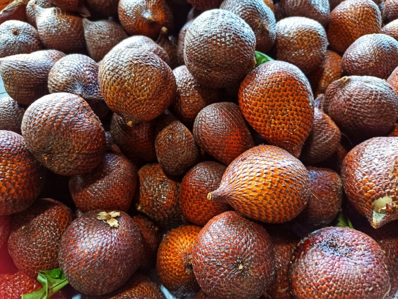 Салак змеиный фрукт