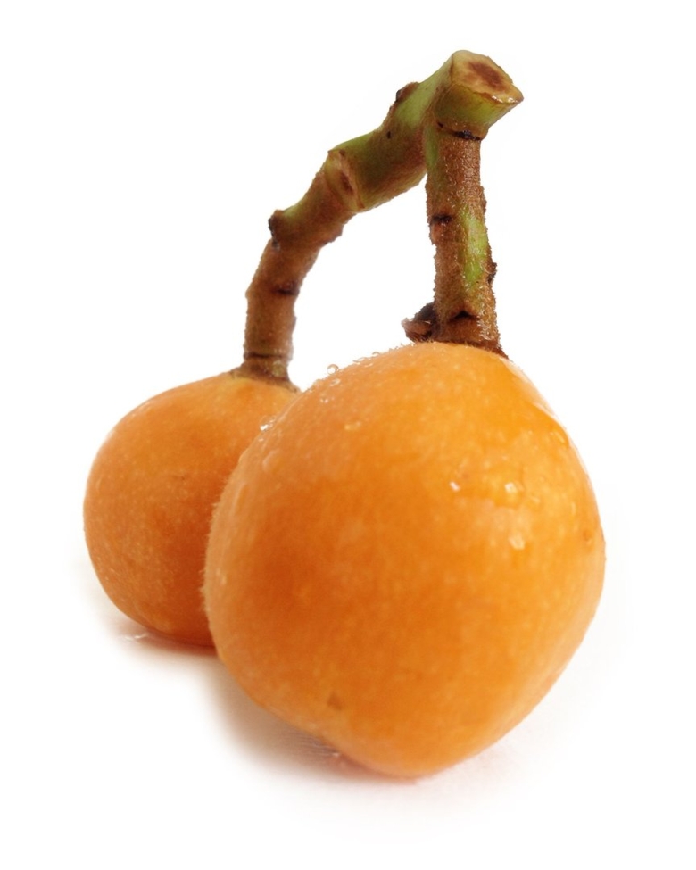 Фрукт yeni Dunya