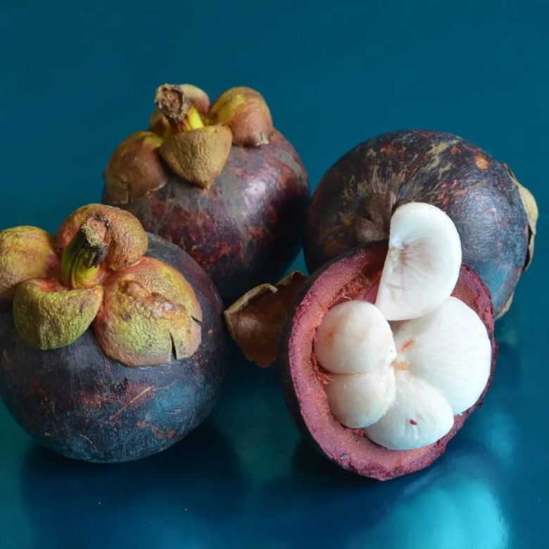 Мангостан мангустин