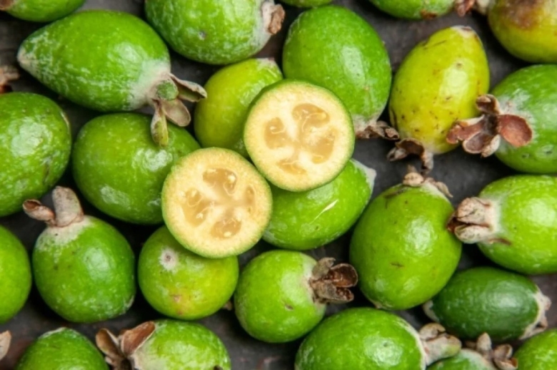 Тропические фрукты фейхоа