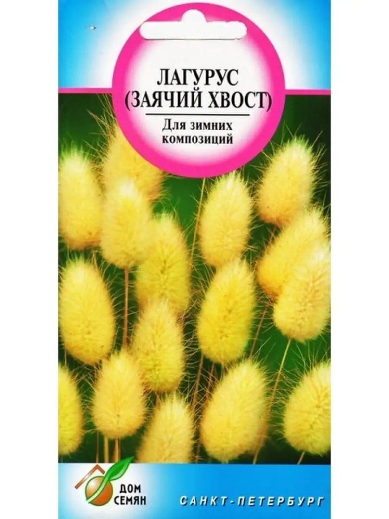 Лагурус Заячий хвост дом семян