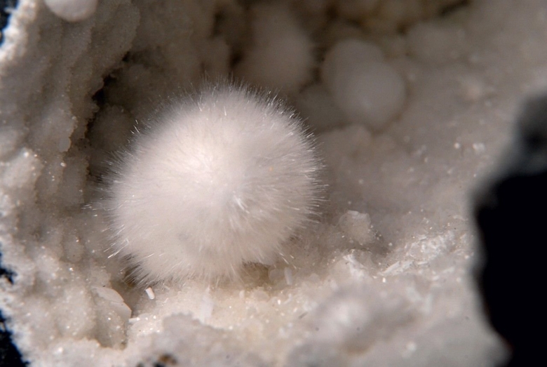 Пушистый окенит