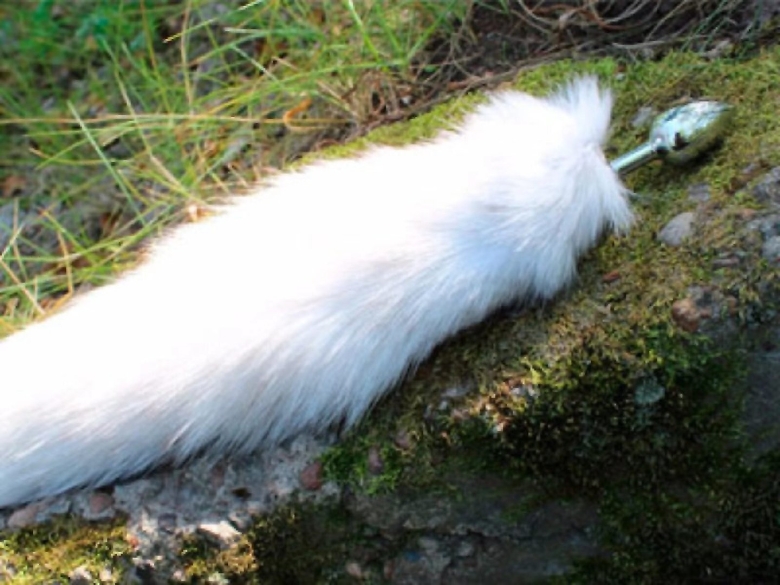 Белый хвост