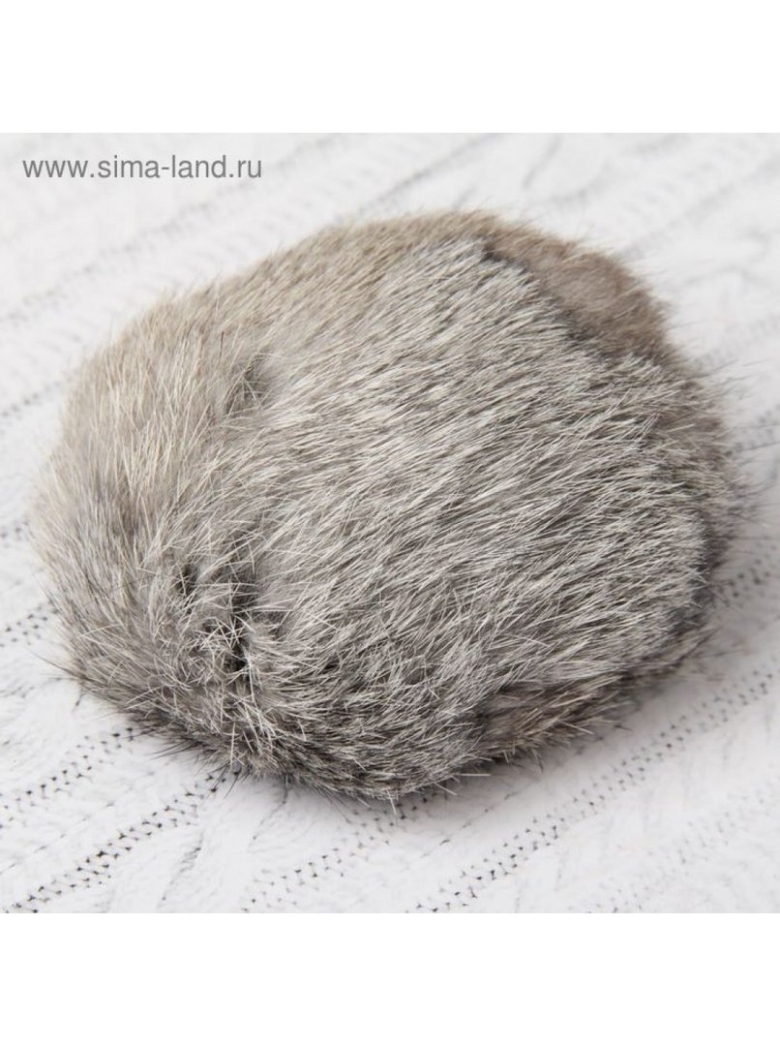 Заяц с длинным хвостом