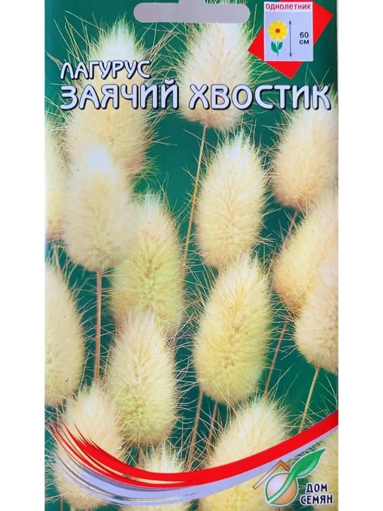 Зайцехвост лагурус пушистые хвостики