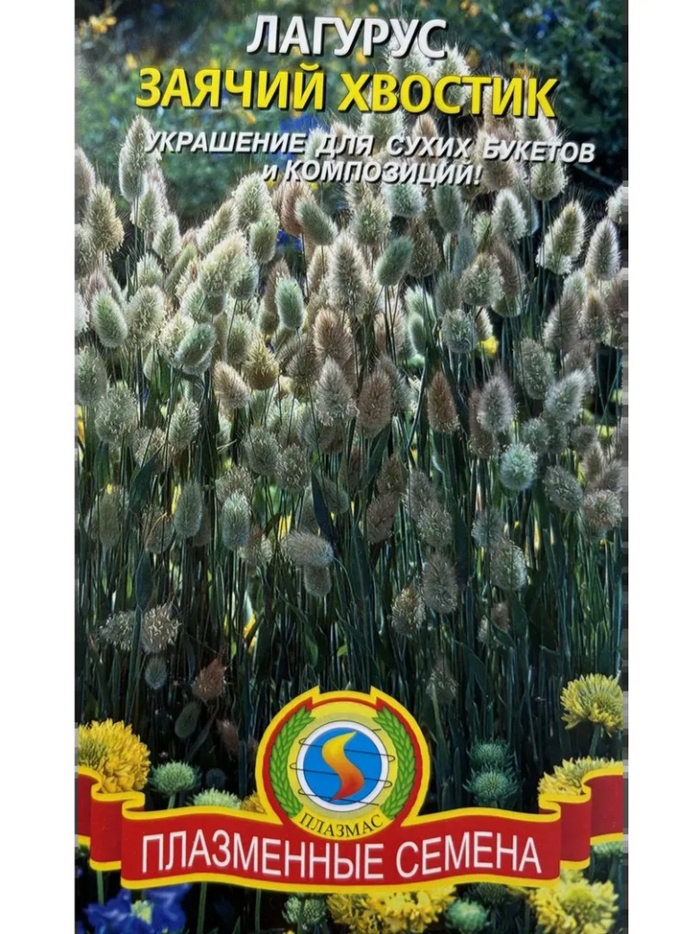 Лагурус сухоцвет семена