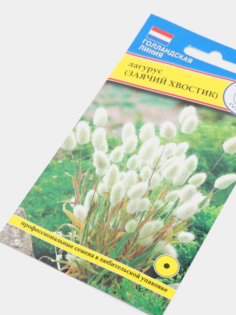 Заячий хвостик растение