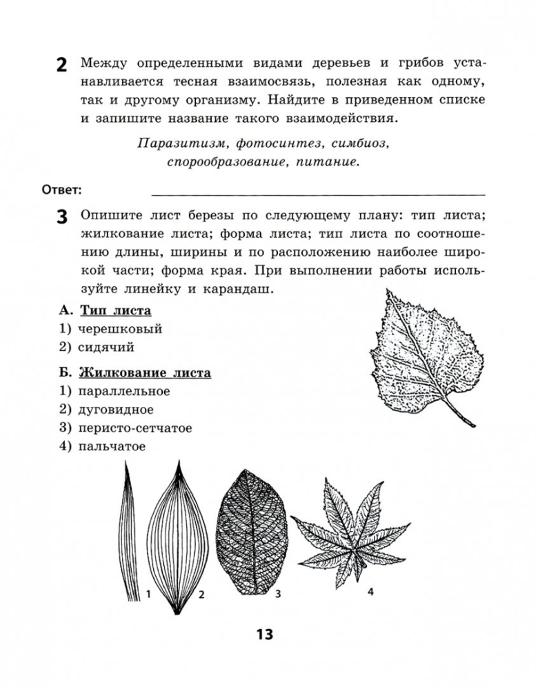 Виды листьев деревьев