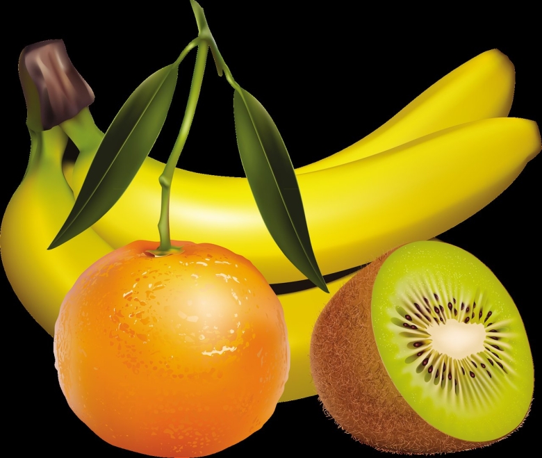 Фрукты вектор
