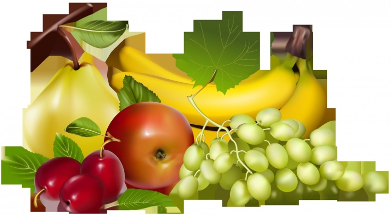 Фрукты вектор