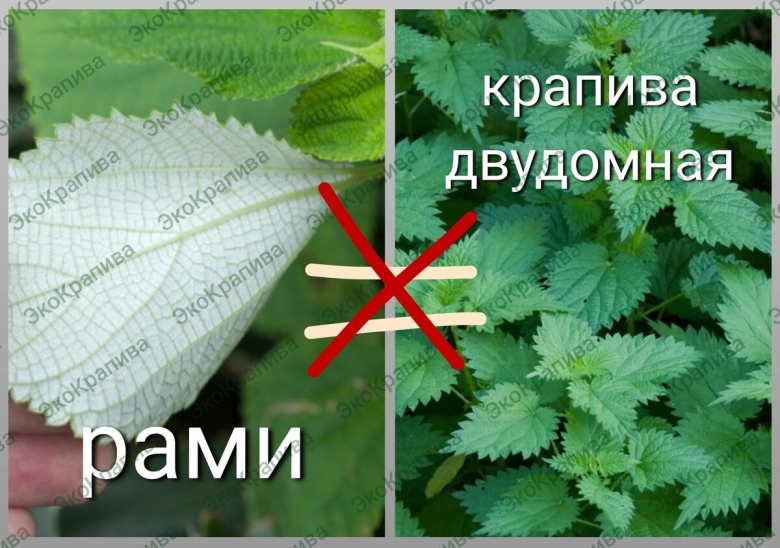 Пряжа ramie крапива