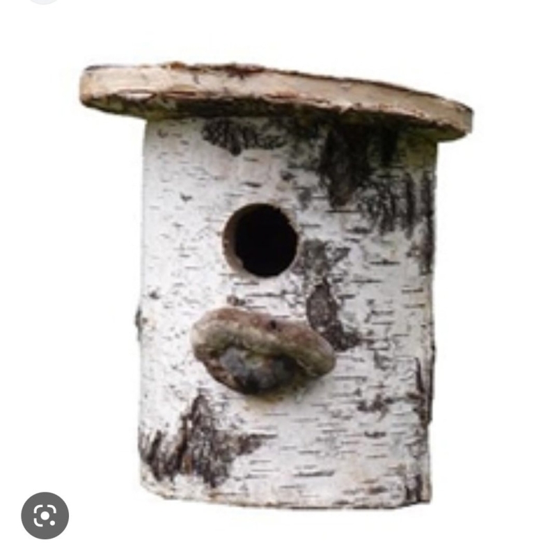 Дуплянка для воробьиного сыча