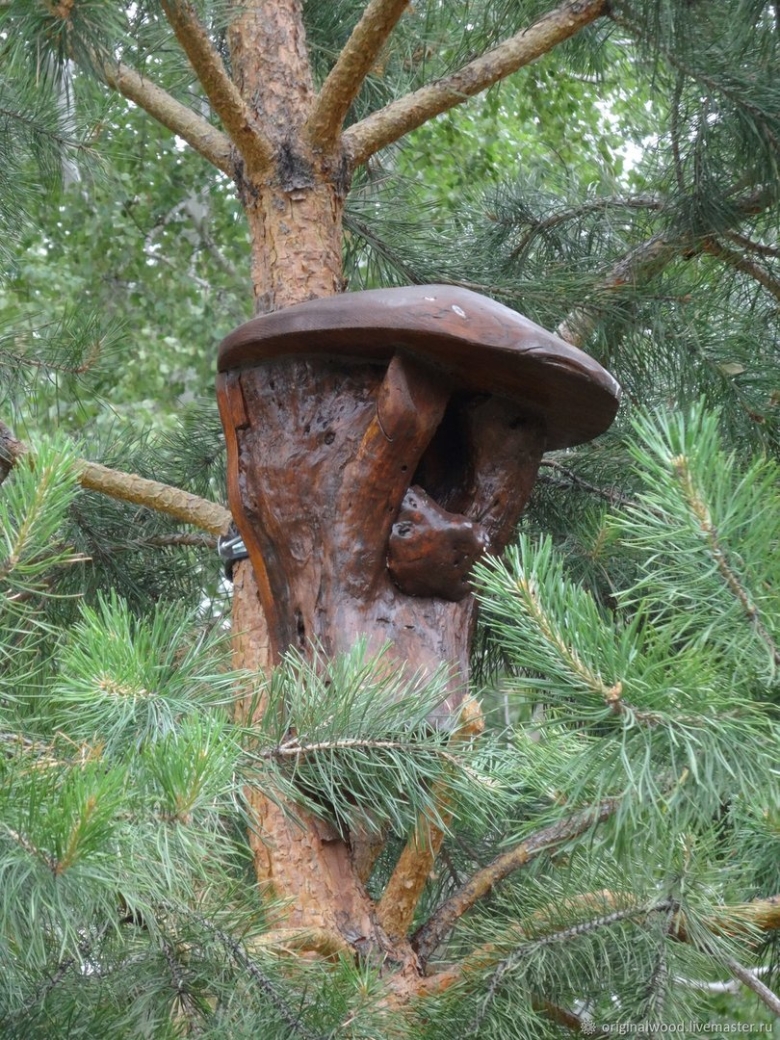 Дуплянки гоголятники