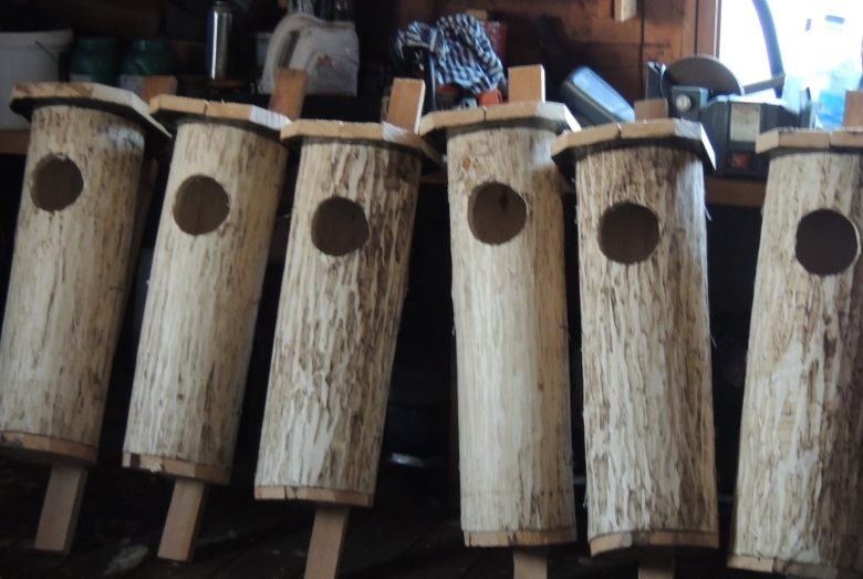 Дуплянка для Гоголя