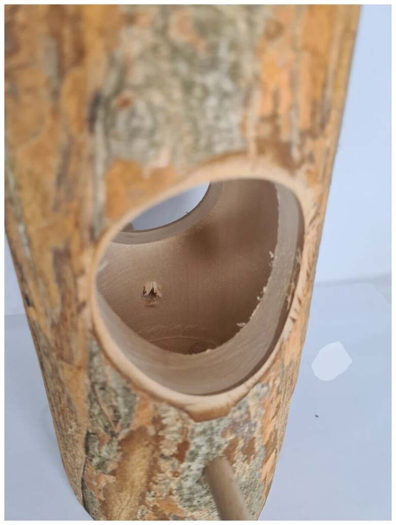 Скворечник для птиц