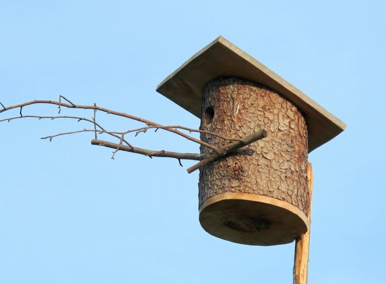 Синичник дуплянка