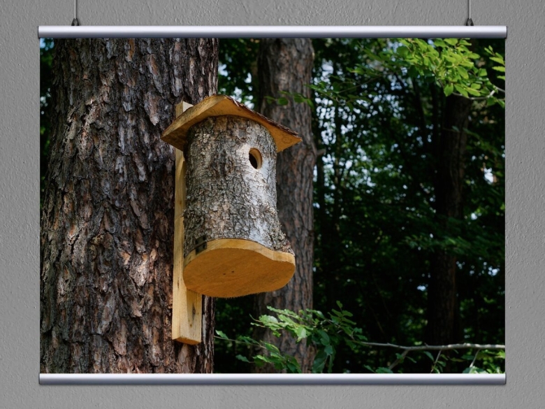 Скворечник дуплянка