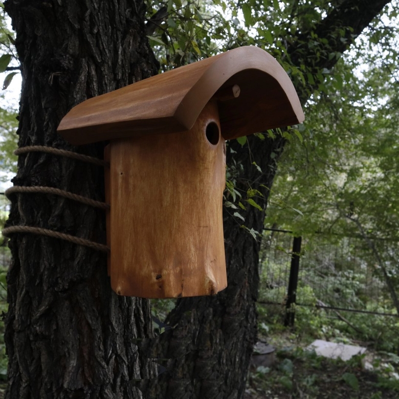 Дуплянка для птиц своими руками