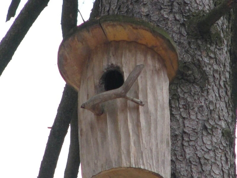 Скворечник бельчатник