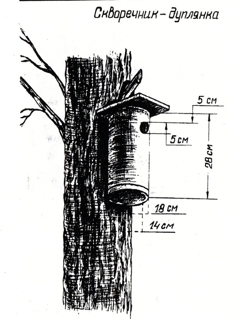 Скворечник дуплянка чертеж