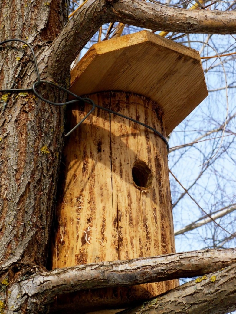 Скворечник дуплянка
