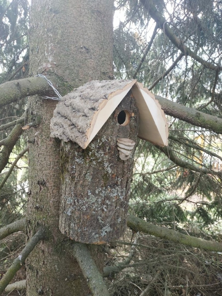 Синичник дуплянка