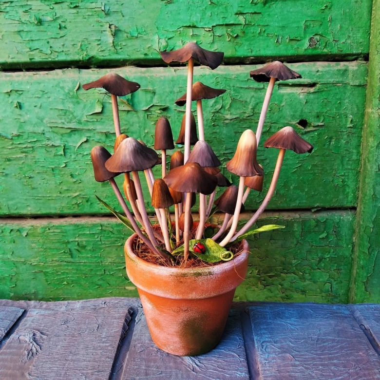 Грибы в цветочном горшке